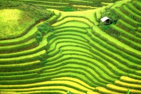 Tour Du Lịch Hà Nội – Hạ Long – Tuần châu  – Sapa 6 Ngày